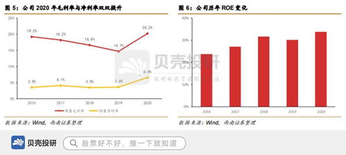 攜手道達爾,深耕儲能領域,天能股份綜合實力強勁
